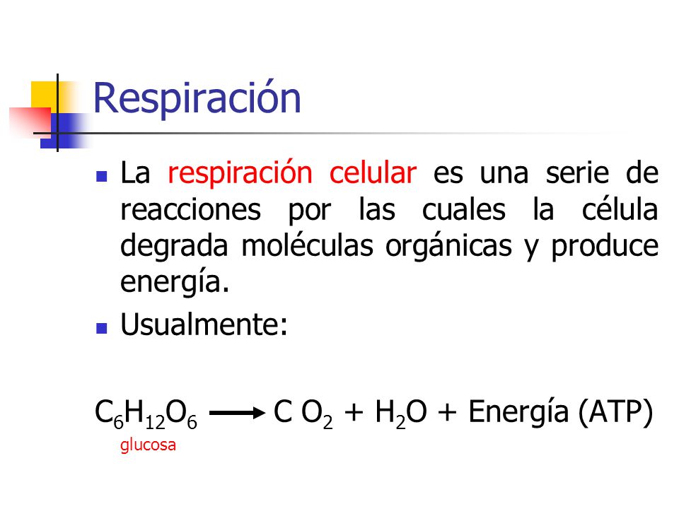 Respiración La respiración celular es una serie de reacciones por las cuales la célula degrada moléculas orgánicas y produce energía.