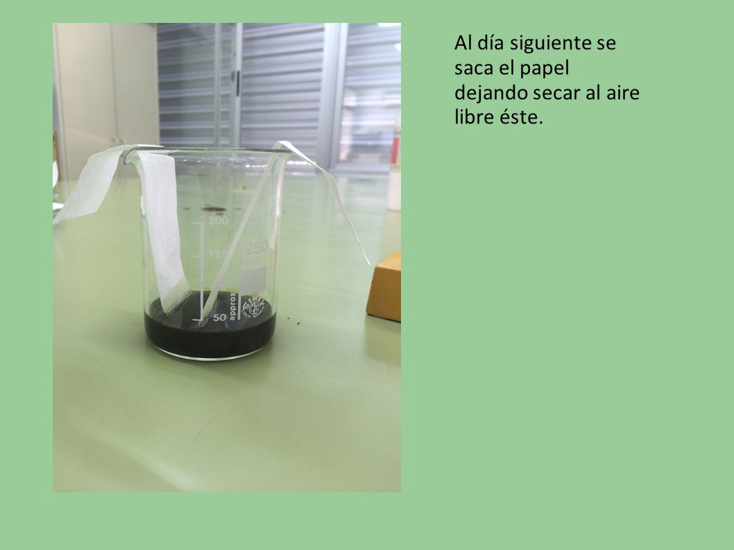 Al día siguiente se saca el papel dejando secar al aire libre éste.