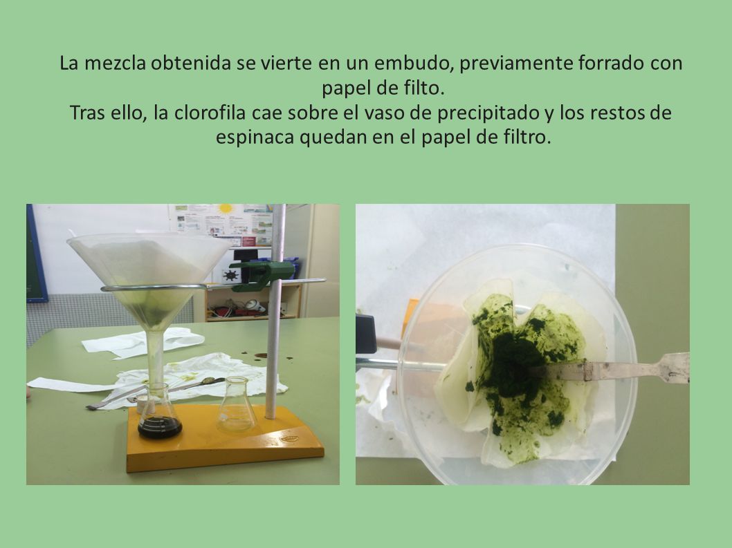La mezcla obtenida se vierte en un embudo, previamente forrado con papel de filto.