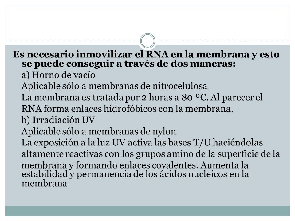 Es necesario inmovilizar el RNA en la membrana y esto se puede conseguir a través de dos maneras: a) Horno de vacío Aplicable sólo a membranas de nitrocelulosa La membrana es tratada por 2 horas a 80 ºC.
