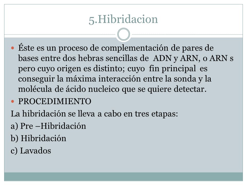 5.Hibridacion