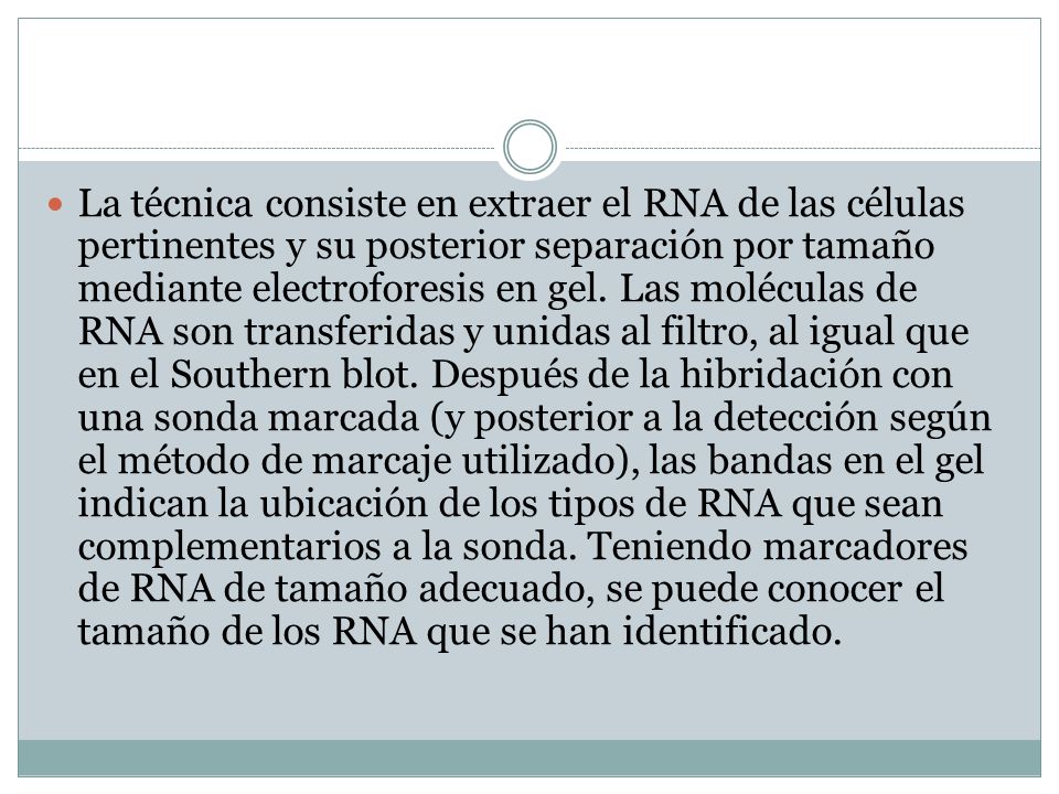 La técnica consiste en extraer el RNA de las células pertinentes y su posterior separación por tamaño mediante electroforesis en gel.
