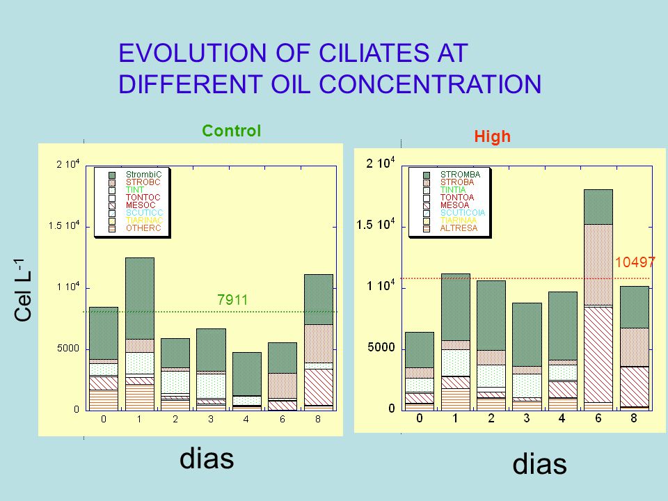 dias dias EVOLUTION OF CILIATES AT DIFFERENT OIL CONCENTRATION Cel L-1