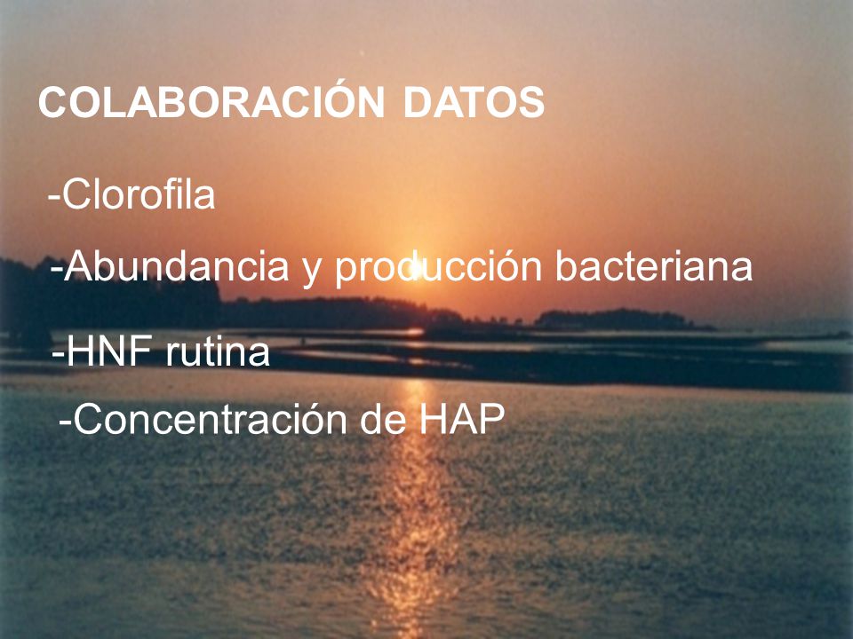 COLABORACIÓN DATOS -Clorofila -Abundancia y producción bacteriana -HNF rutina -Concentración de HAP