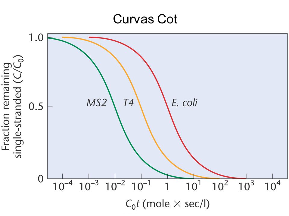 Curvas Cot Figure Copyright © 2006 Pearson Prentice Hall, Inc