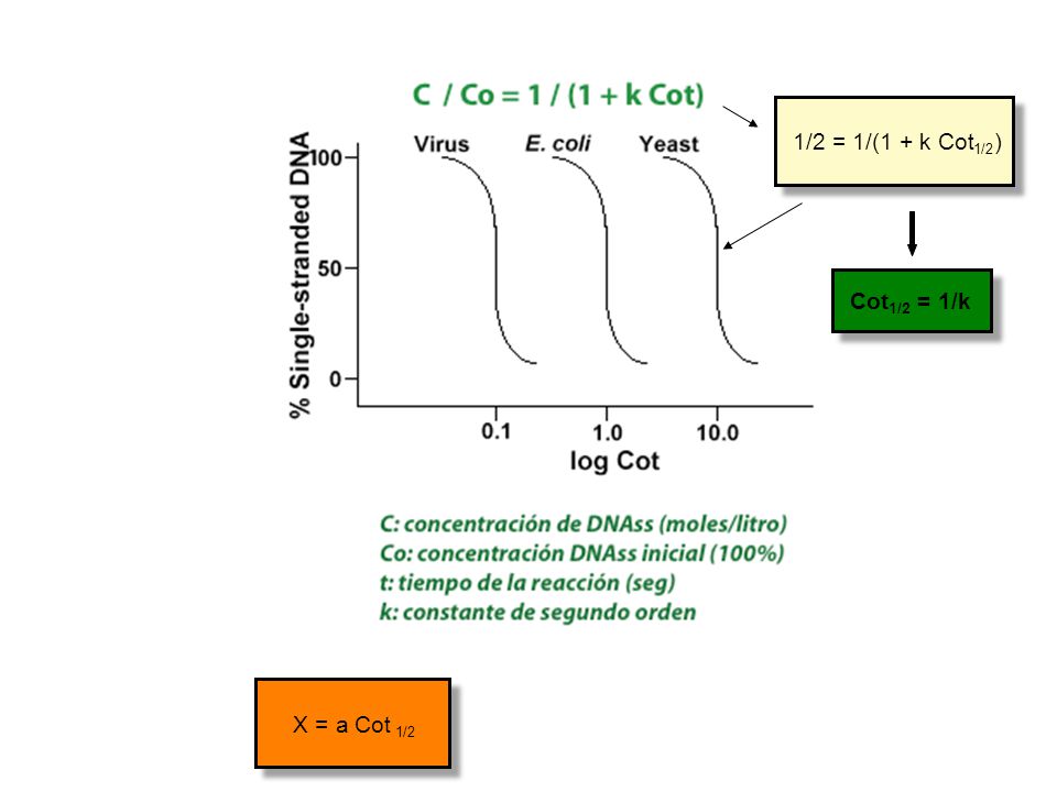 1/2 = 1/(1 + k Cot ) Cot1/2 = 1/k X = a Cot a standart: 5 X 10E5