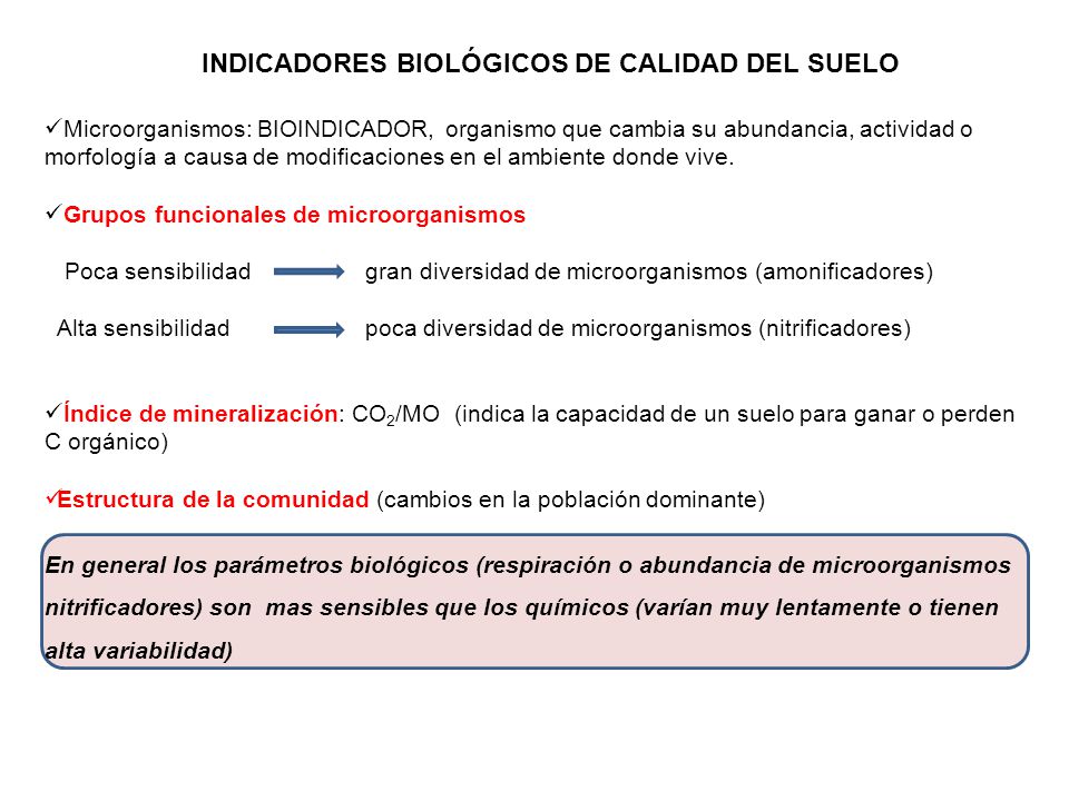 INDICADORES BIOLÓGICOS DE CALIDAD DEL SUELO