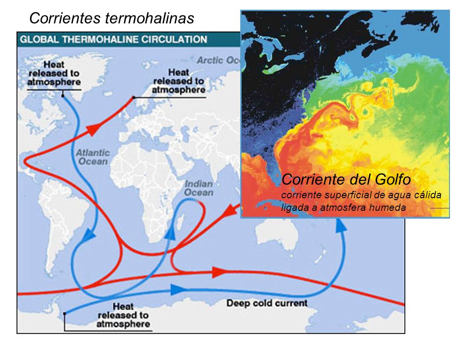 Corrientes termohalinas