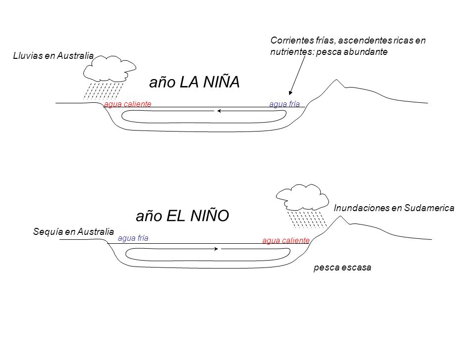 Corrientes frías, ascendentes ricas en nutrientes: pesca abundante