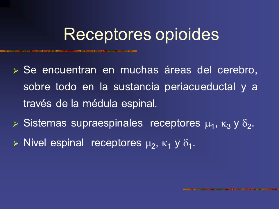 Receptores opioides Se encuentran en muchas áreas del cerebro, sobre todo en la sustancia periacueductal y a través de la médula espinal.