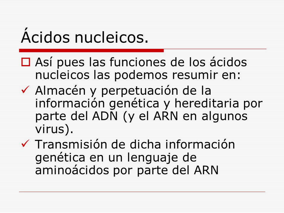 Ácidos nucleicos. Así pues las funciones de los ácidos nucleicos las podemos resumir en: