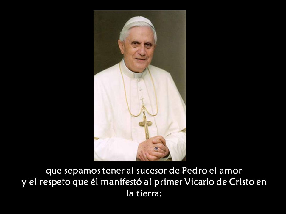 que sepamos tener al sucesor de Pedro el amor y el respeto que él manifestó al primer Vicario de Cristo en la tierra;