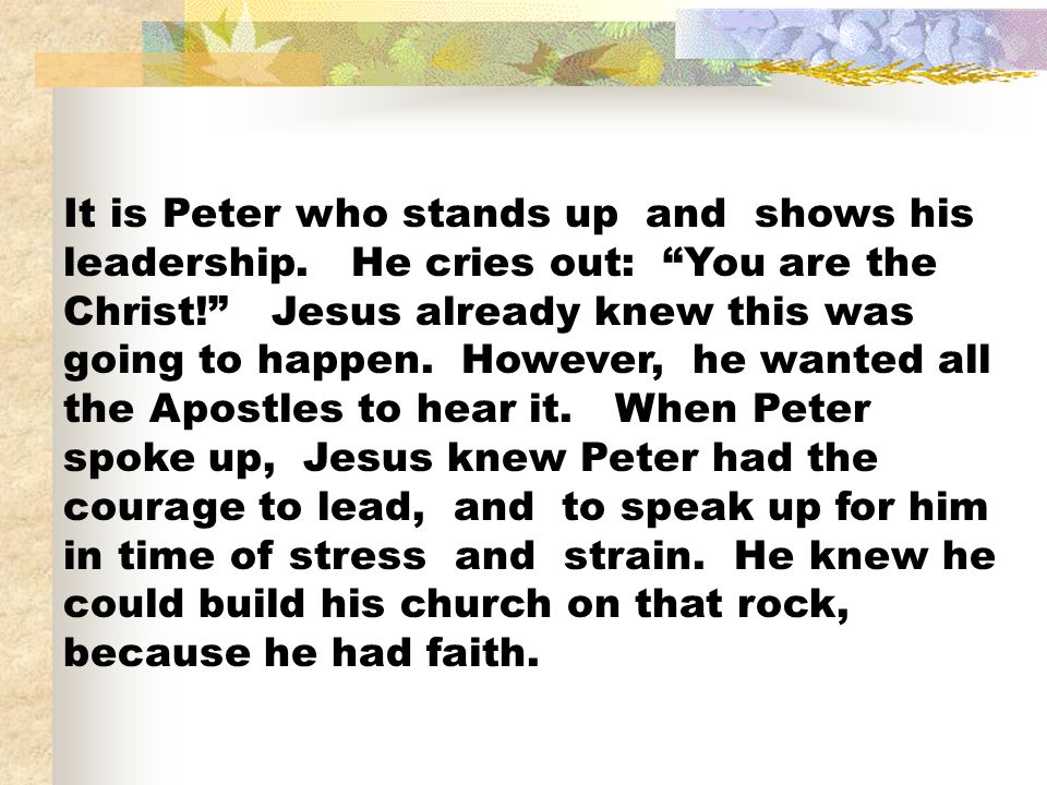 It is Peter who stands up and shows his leadership