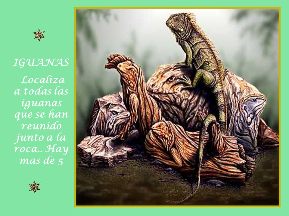 IGUANAS Localiza a todas las iguanas que se han reunido junto a la roca.. Hay mas de 5