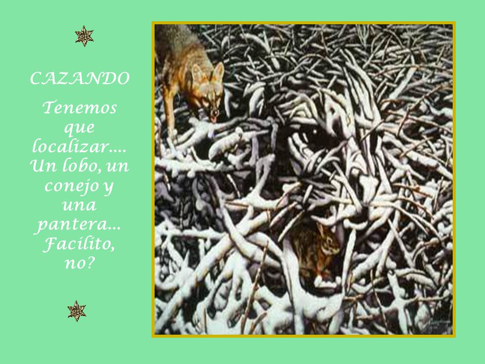 CAZANDO Tenemos que localizar.... Un lobo, un conejo y una pantera... Facilito, no