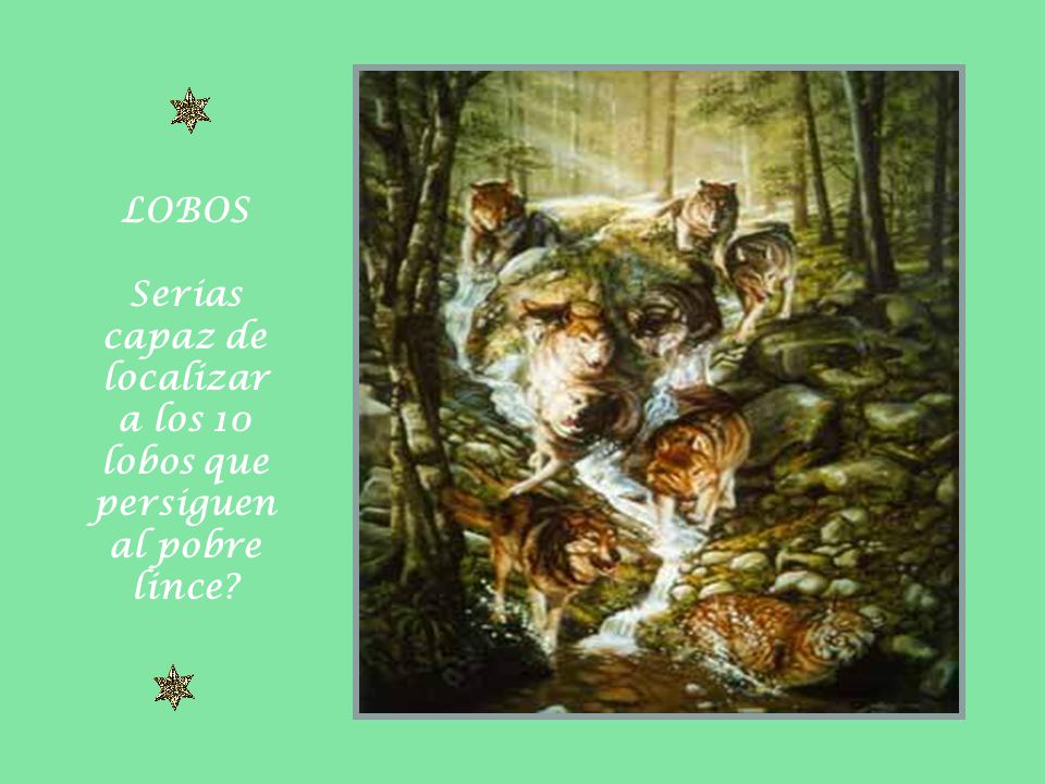 Serias capaz de localizar a los 10 lobos que persiguen al pobre lince
