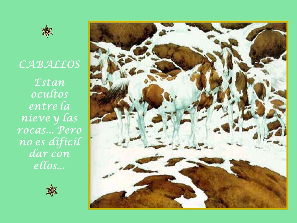CABALLOS Estan ocultos entre la nieve y las rocas... Pero no es dificil dar con ellos...