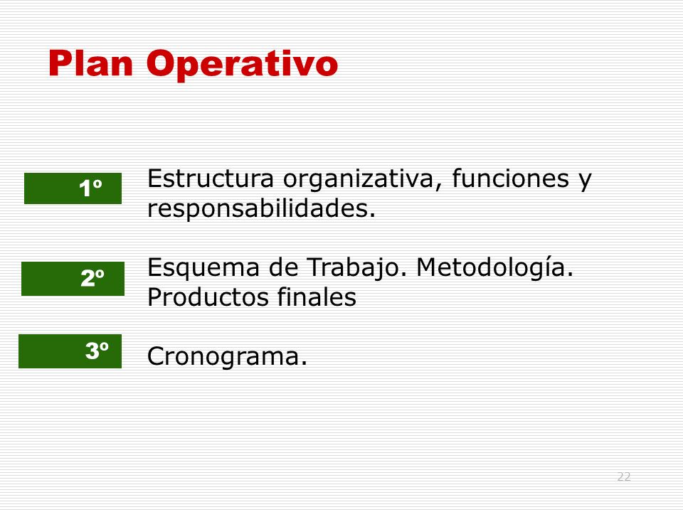 Plan Operativo Estructura organizativa, funciones y responsabilidades.
