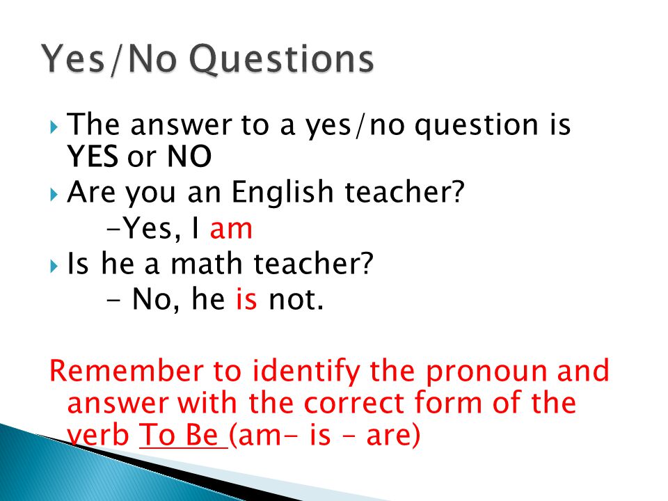 Yes/No Questions The answer to a yes/no question is YES or NO