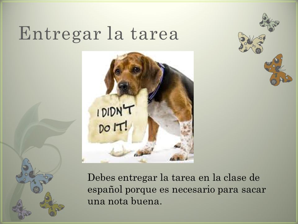 Entregar la tarea Debes entregar la tarea en la clase de español porque es necesario para sacar una nota buena.