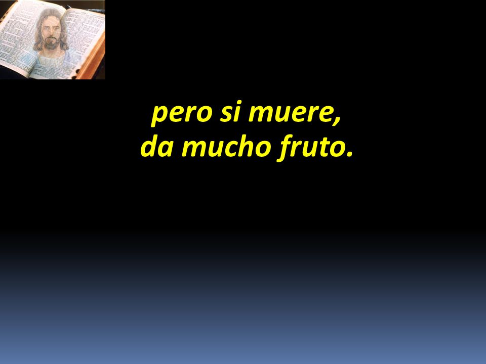 pero si muere, da mucho fruto.