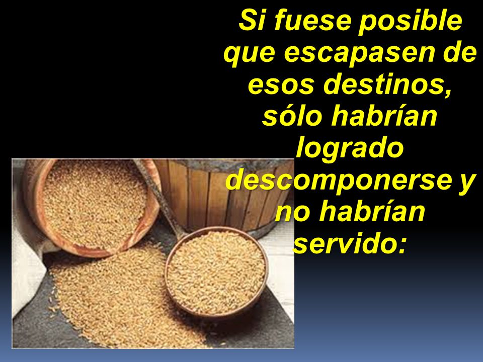Si fuese posible que escapasen de esos destinos, sólo habrían logrado descomponerse y no habrían servido: