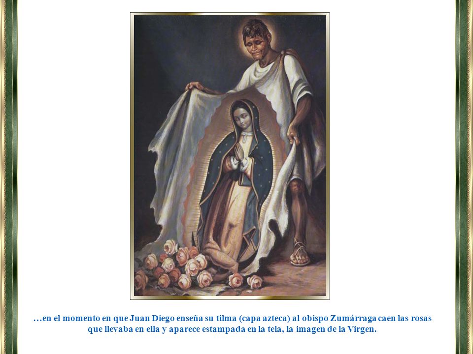 …en el momento en que Juan Diego enseña su tilma (capa azteca) al obispo Zumárraga caen las rosas que llevaba en ella y aparece estampada en la tela, la imagen de la Virgen.