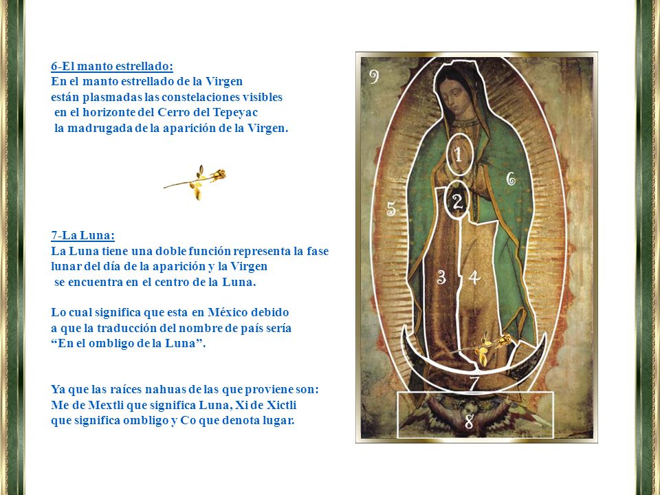 6-El manto estrellado: En el manto estrellado de la Virgen. están plasmadas las constelaciones visibles.