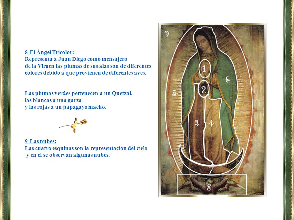 8-El Ángel Tricolor: Representa a Juan Diego como mensajero.