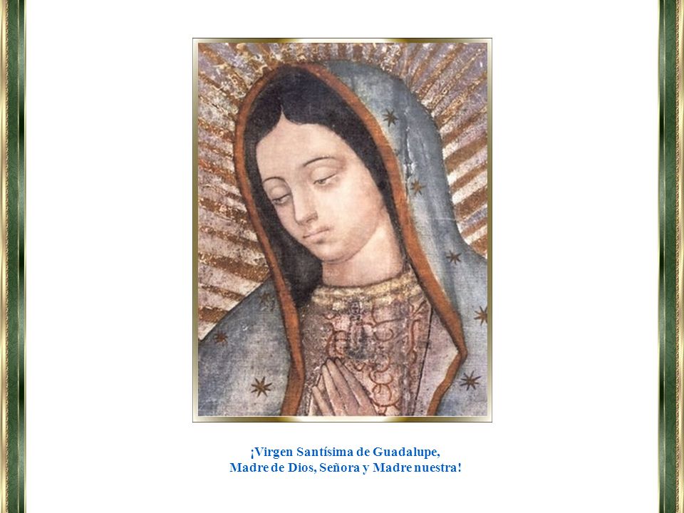 ¡Virgen Santísima de Guadalupe, Madre de Dios, Señora y Madre nuestra!