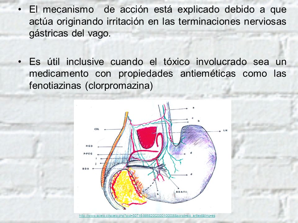 El mecanismo de acción está explicado debido a que actúa originando irritación en las terminaciones nerviosas gástricas del vago.