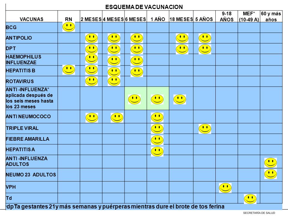 ESQUEMA DE VACUNACION VACUNAS RN 2 MESES 4 MESES 6 MESES 1 AÑO