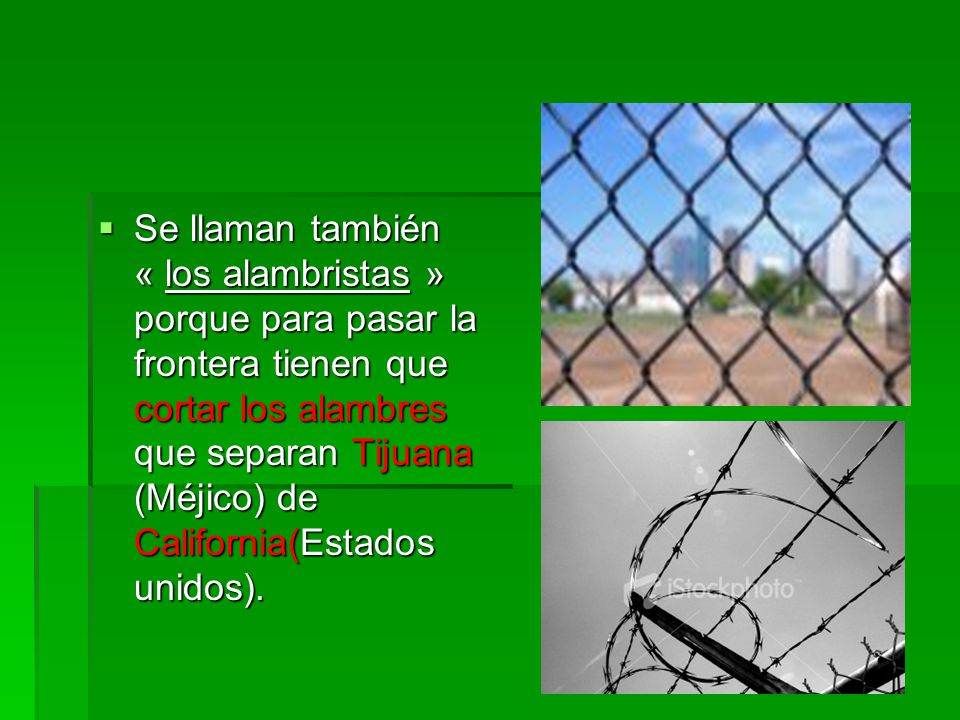 Se llaman también « los alambristas » porque para pasar la frontera tienen que cortar los alambres que separan Tijuana (Méjico) de California(Estados unidos).