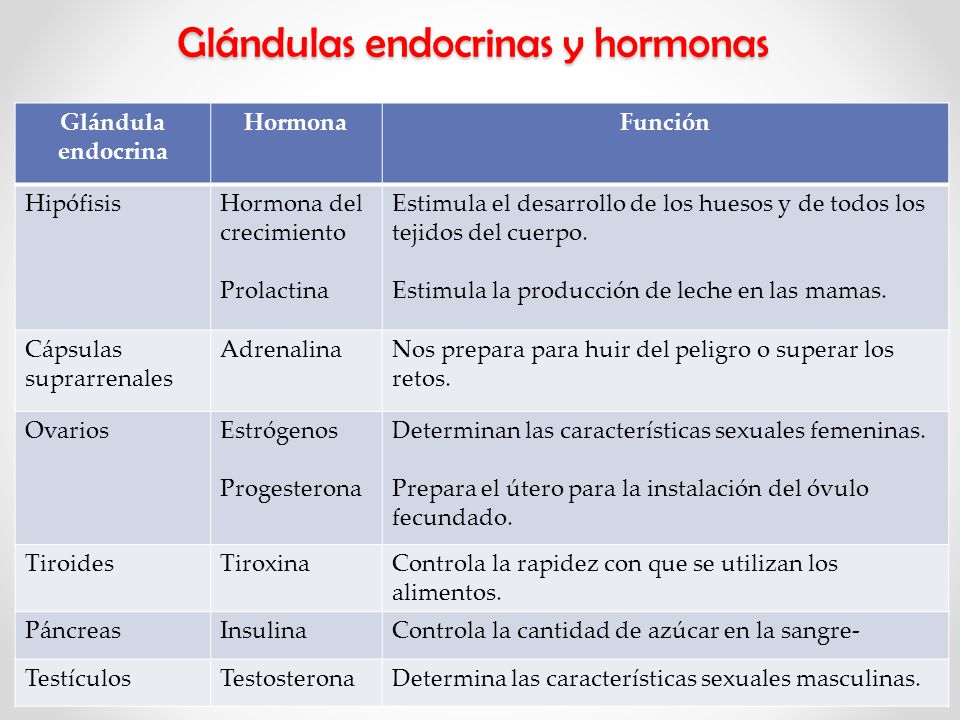 Resultado de imagen de sistema endocrino hormonas y sus funciones