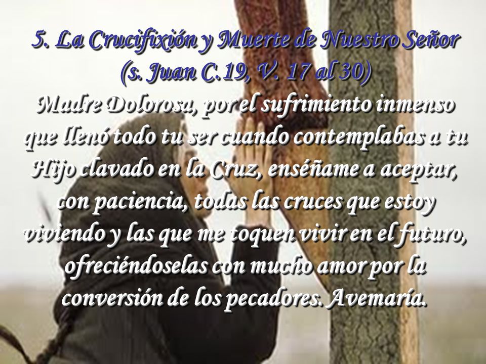 5. La Crucifixión y Muerte de Nuestro Señor (s. Juan C. 19, V