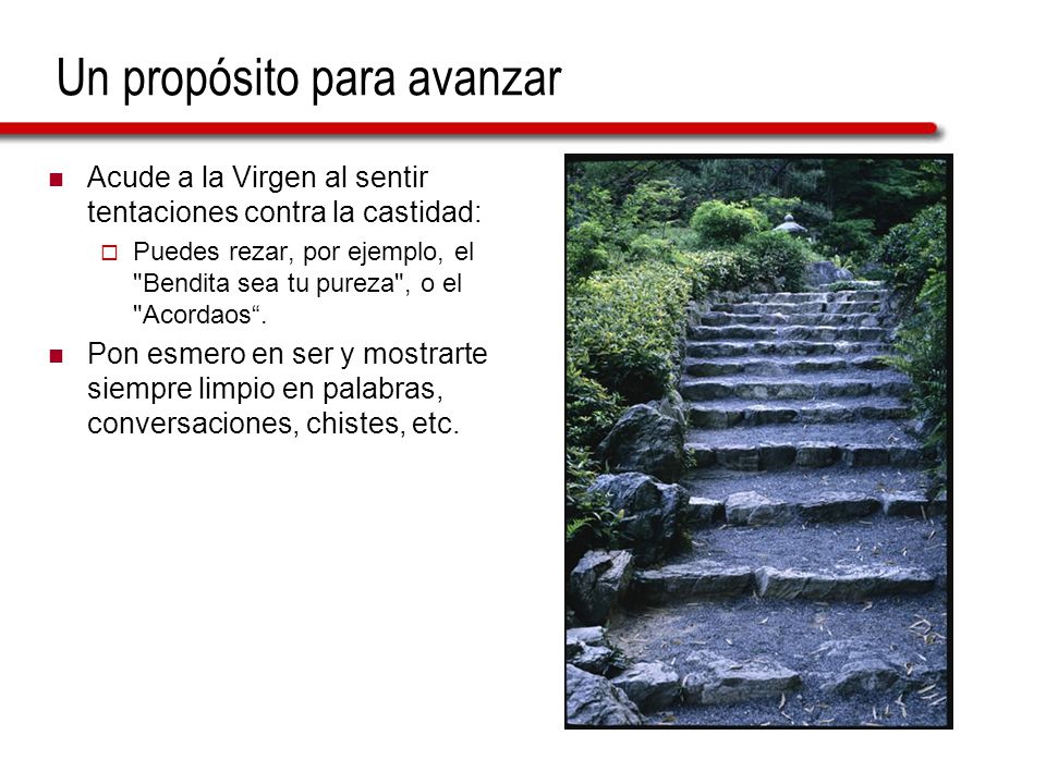 Un propósito para avanzar
