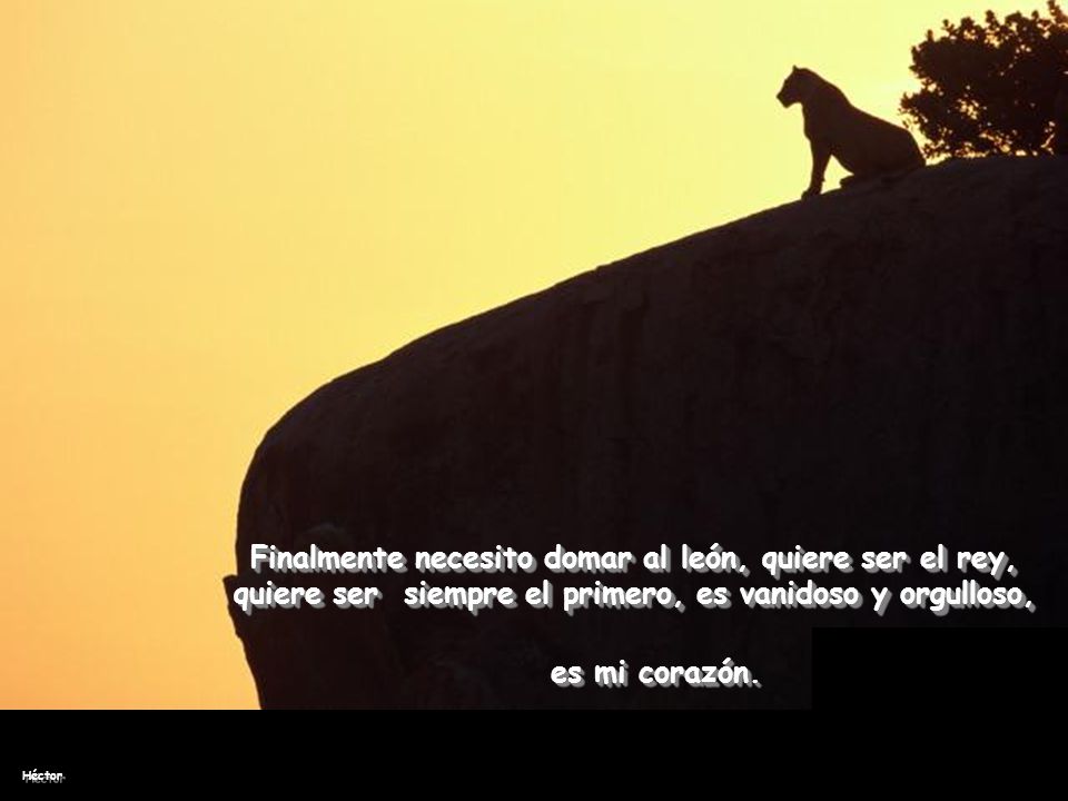 Finalmente necesito domar al león, quiere ser el rey, quiere ser siempre el primero, es vanidoso y orgulloso,
