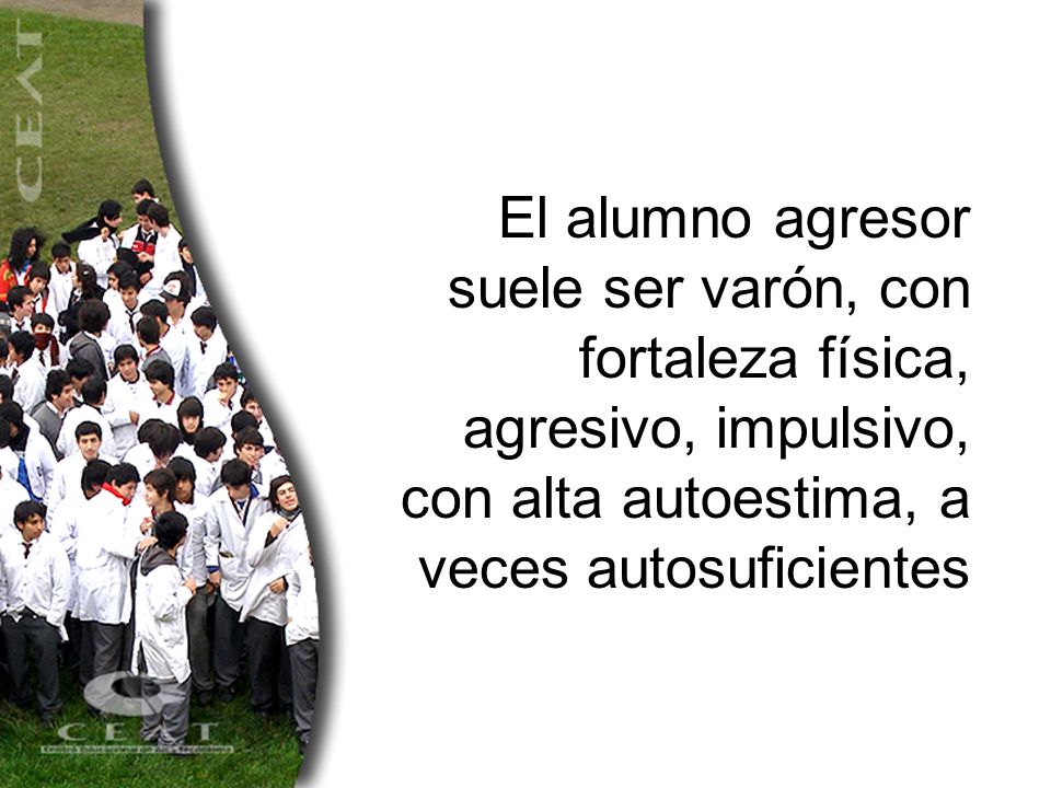 El alumno agresor suele ser varón, con fortaleza física, agresivo, impulsivo, con alta autoestima, a veces autosuficientes