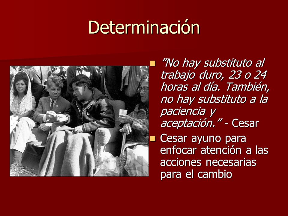 Determinación No hay substituto al trabajo duro, 23 o 24 horas al día. También, no hay substituto a la paciencia y aceptación. - Cesar.