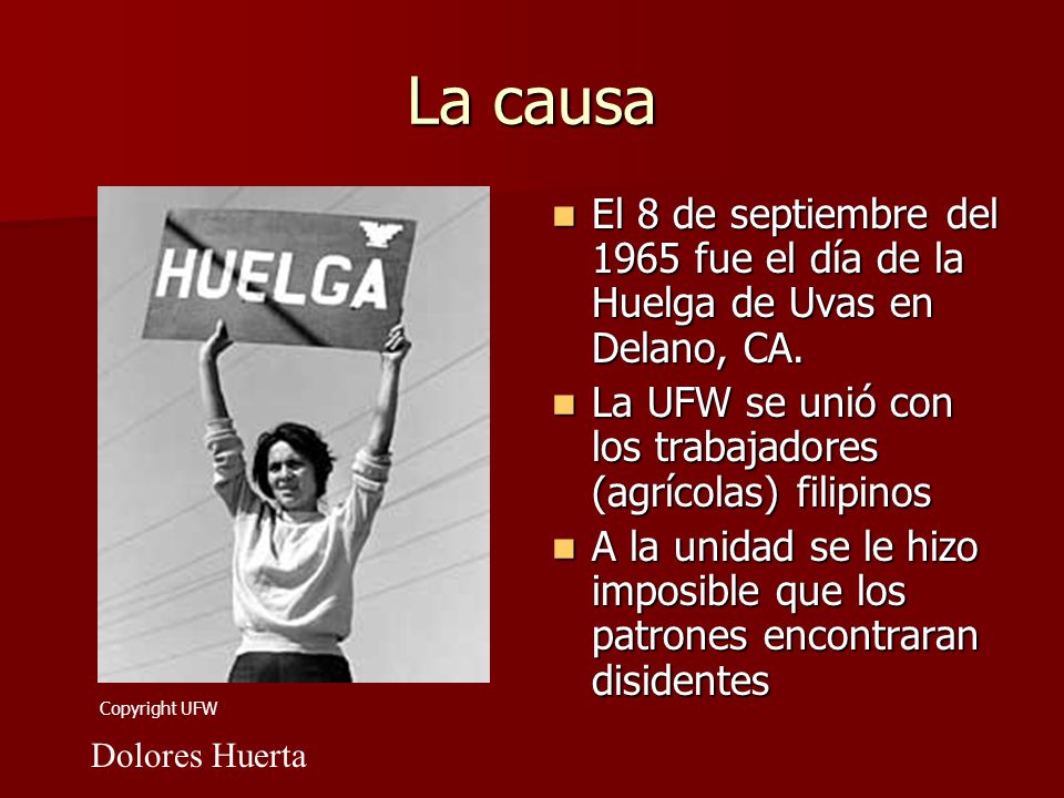 La causa El 8 de septiembre del 1965 fue el día de la Huelga de Uvas en Delano, CA. La UFW se unió con los trabajadores (agrícolas) filipinos.