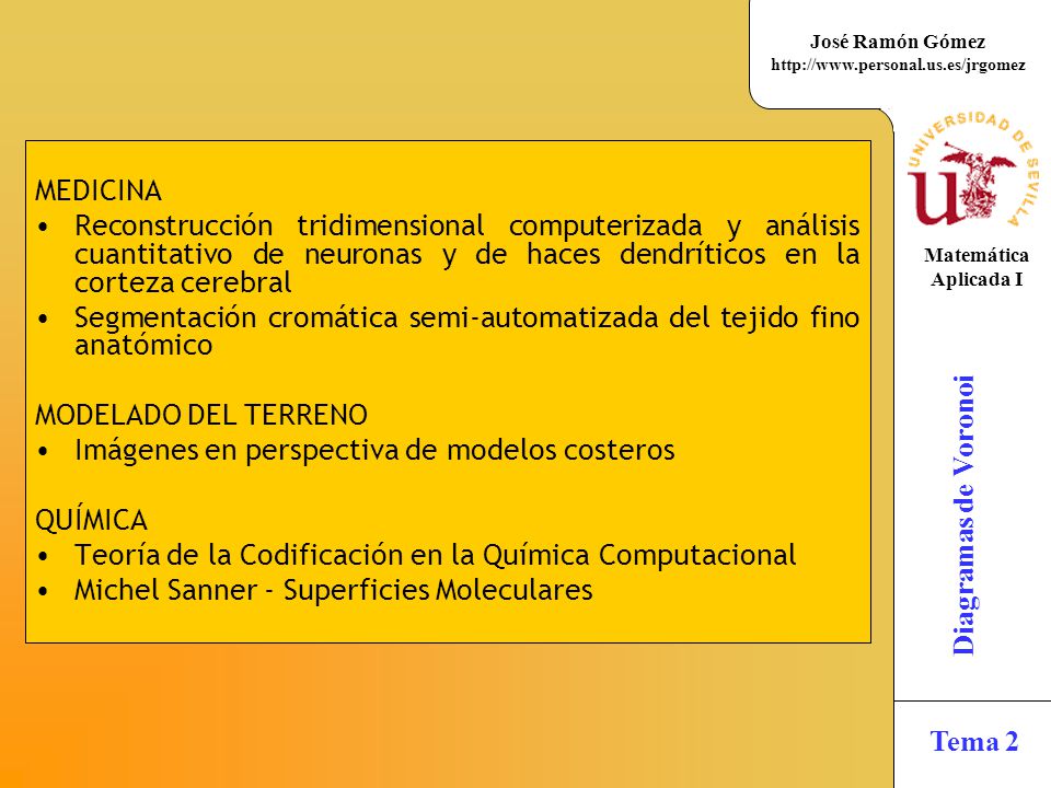 MEDICINA Reconstrucción tridimensional computerizada y análisis cuantitativo de neuronas y de haces dendríticos en la corteza cerebral.