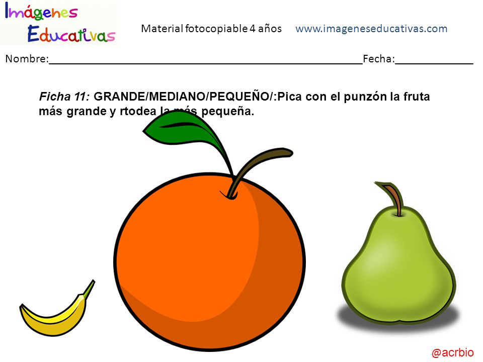Material fotocopiable 4 años