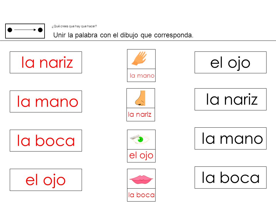 la nariz el ojo la nariz la mano la mano la boca la boca el ojo el ojo