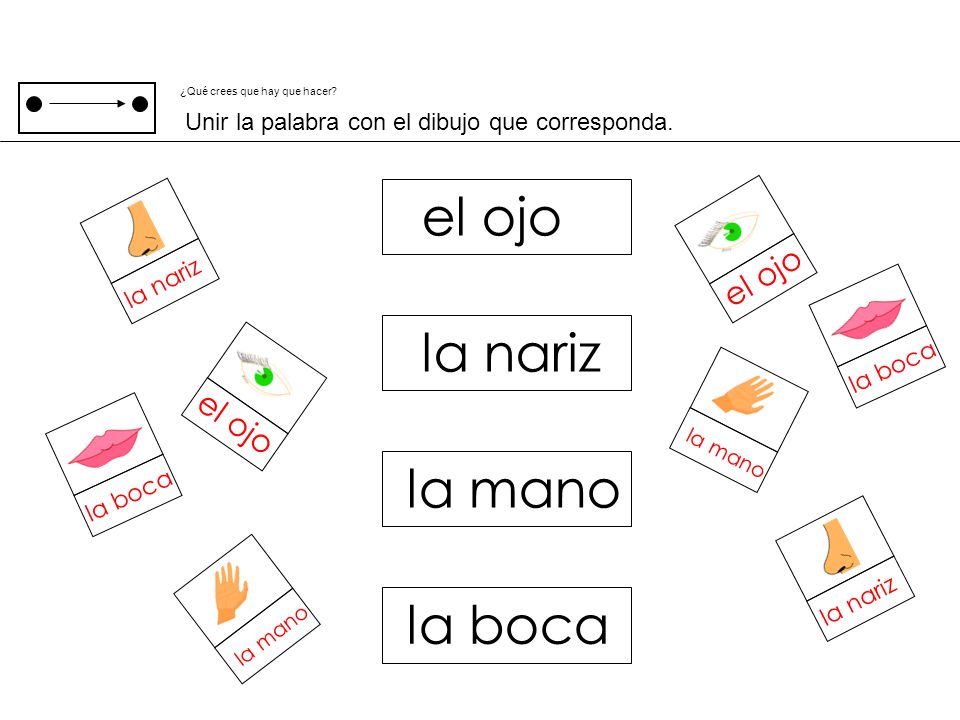 el ojo la nariz la mano la boca el ojo el ojo la nariz la boca la boca