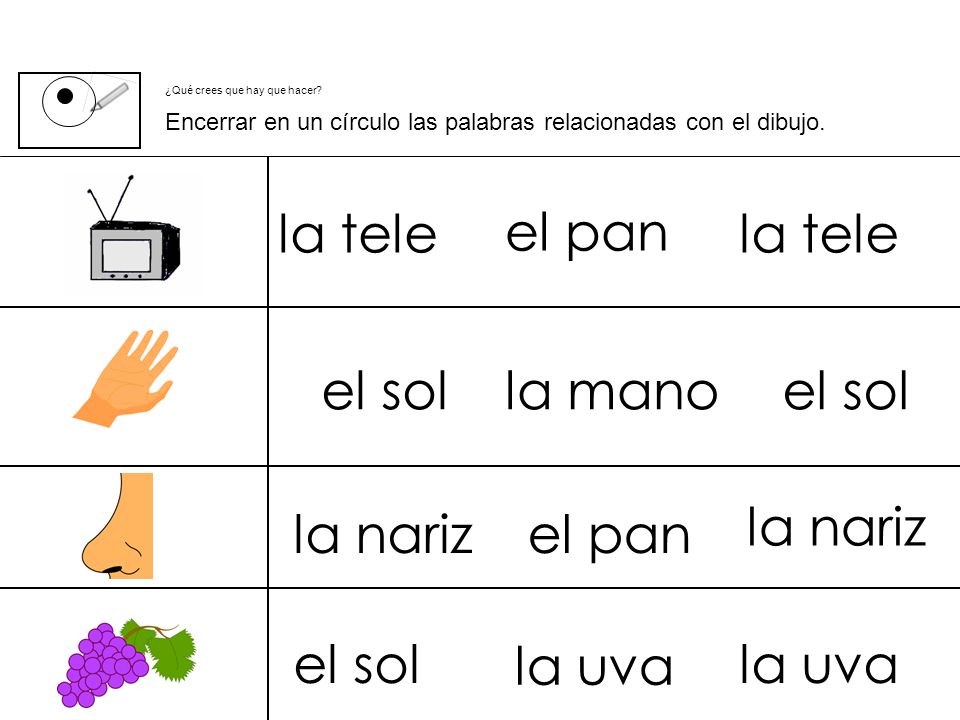 la tele el pan la tele el sol la mano el sol la nariz la nariz el pan