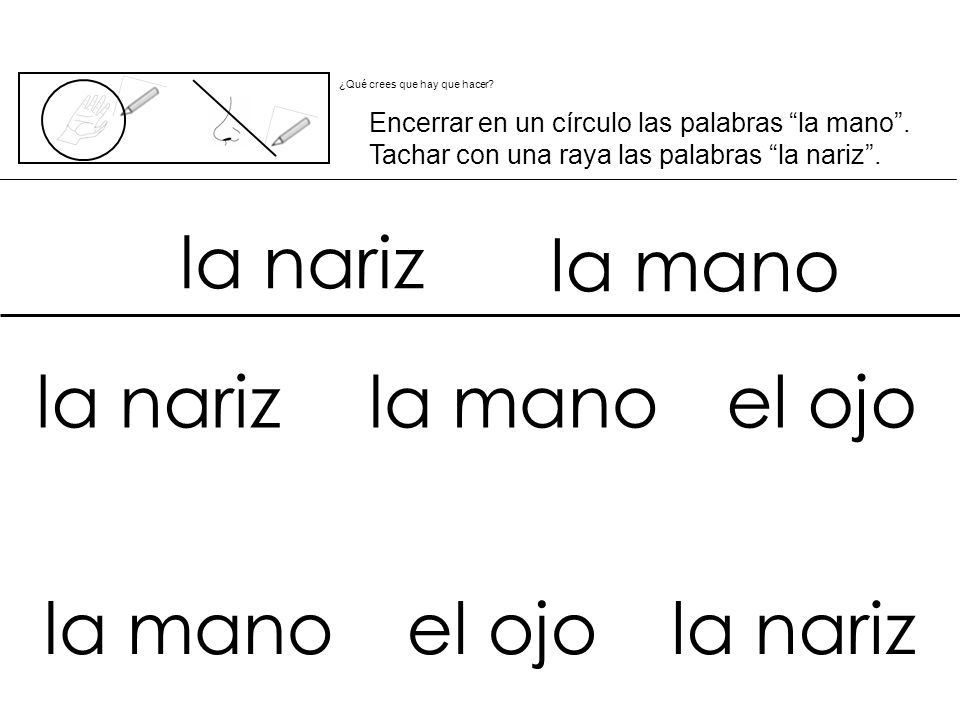 la nariz la mano la nariz la mano el ojo la mano el ojo la nariz