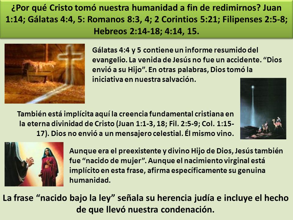 ¿Por qué Cristo tomó nuestra humanidad a fin de redimirnos