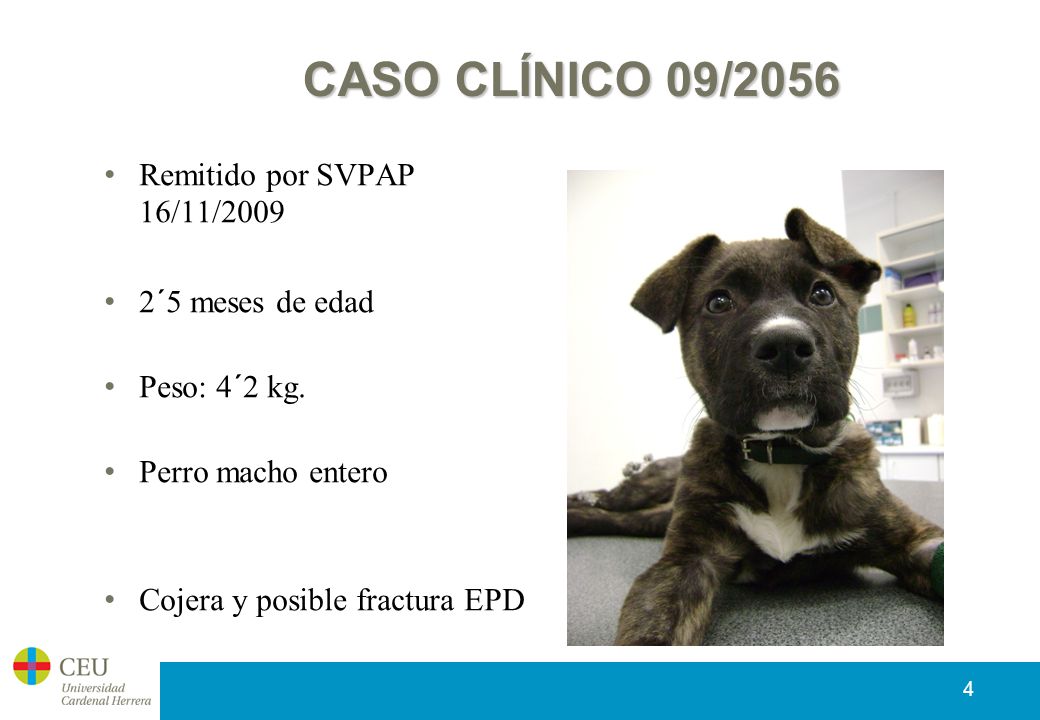CASO CLÍNICO 09/2056 Remitido por SVPAP 16/11/2009 2´5 meses de edad