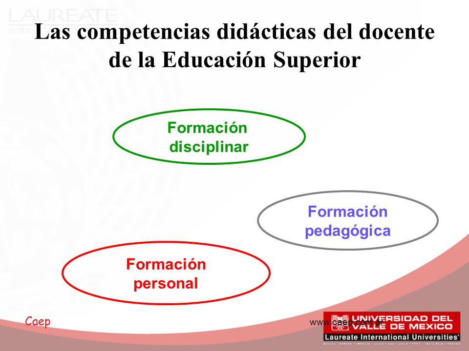 Las competencias didácticas del docente de la Educación Superior