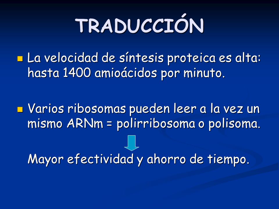 TRADUCCIÓN La velocidad de síntesis proteica es alta: hasta 1400 amioácidos por minuto.